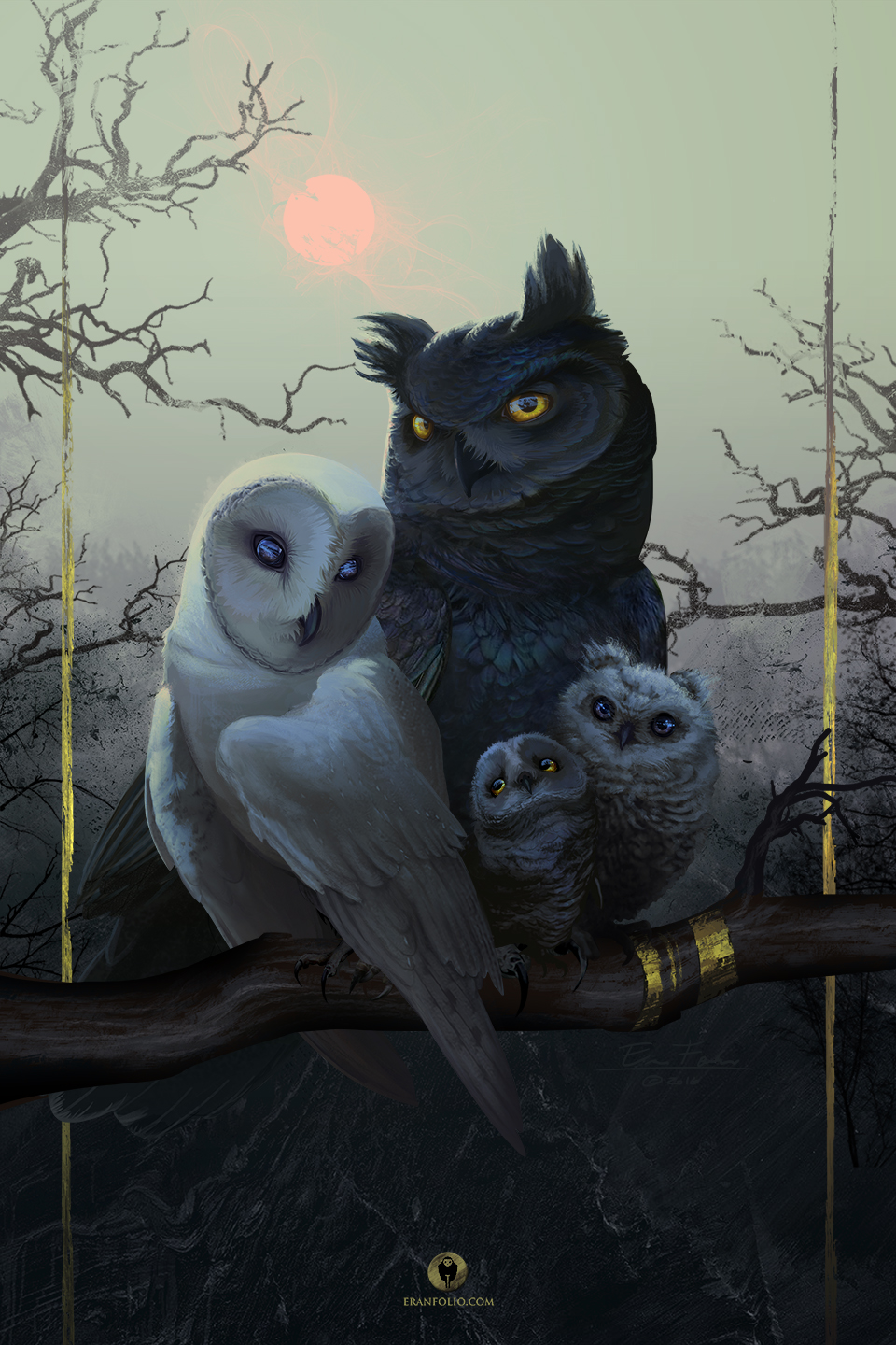 Owl Family Portrait by EranFowler