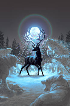 Winter Captures the Night