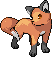 Red Fox