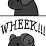 Piggie Problems: WHEEK!