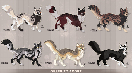 [OPEN] 6/6 Cat adopts - Runners by Xilus-Alex