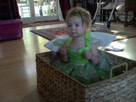 fairy in a basket?