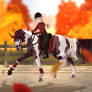 Autumn Dressage - Driftwood Opening Event