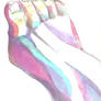 Foot