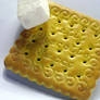 Biscuit and Sugar Cube