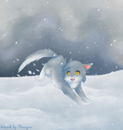 snowy kitty for Monica