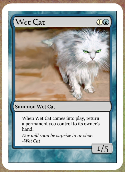 Magic the Gathering: Wet Cat