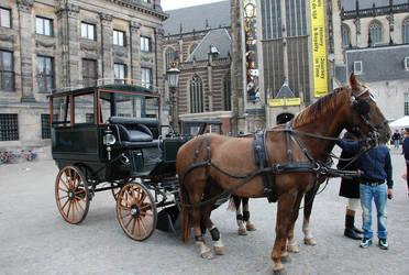 Carriage with horses stock