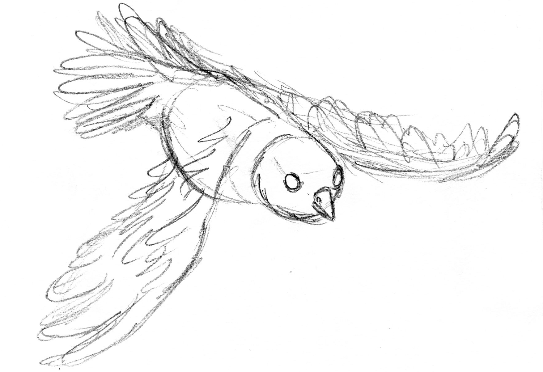Bird Flight ANIMATION by lizzie9009 on DeviantArt Bird Flight ANIMATION by lizzie9009 on DeviantArt