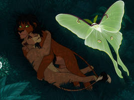 A Secret Moment - Contest Entry