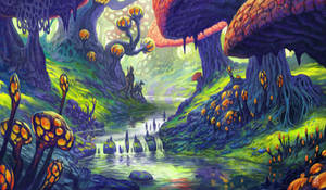 Black Marsh, Shroom Land