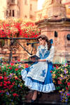 Belle - Beauty and the Beast