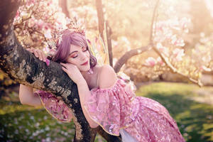 Fairy