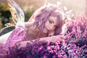 Fairy