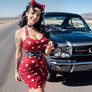 rockabilly II (1)