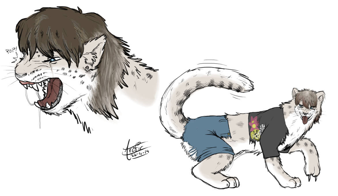 Shiro Non Htf Shiro TF by Sabishii-Neko on DeviantArt