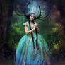 Woodland Princess