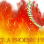 ho-oh sig