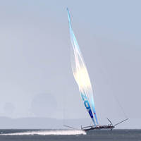 Biomimetic sail