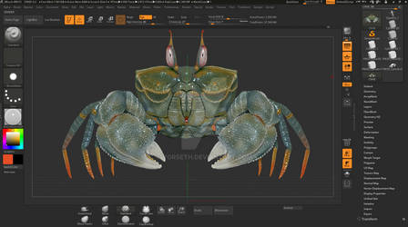 Crab Zbrush