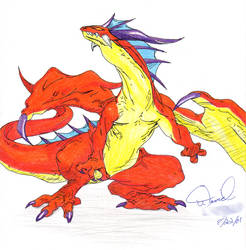 Orange Dragon