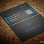 Corporate Creative Business Card Vol: 03