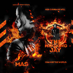 The Mockingjay (The Hunger Games)