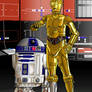 R2-D2 and C-3PO  2003