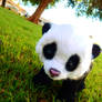 Handmade Poseable Baby Panda (PRICE REDUCED)