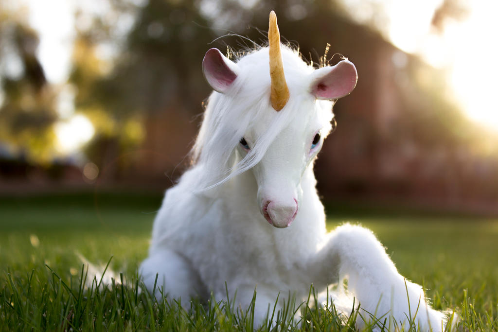 Handmade Poseable Unicorn ( Youtube Video) by KaypeaCreations on DeviantArt Handmade Poseable Unicorn ( Youtube Video) by KaypeaCreations on DeviantArt