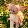 Handmade Poseable Fennec Fox Art Doll