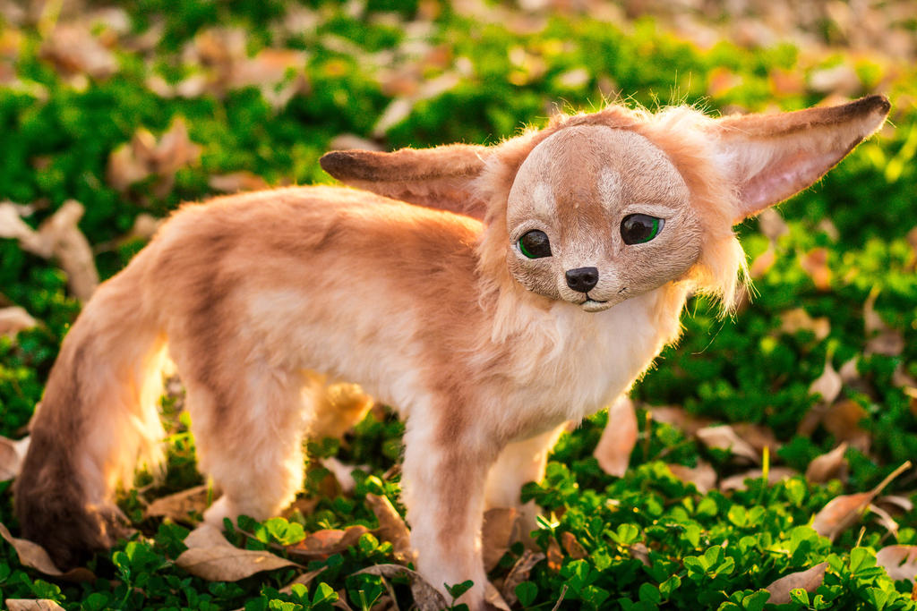 Handmade Poseable Fennec Fox Art Doll by KaypeaCreations