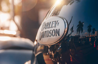 Detail of a Harley-Davidson motorcycle
