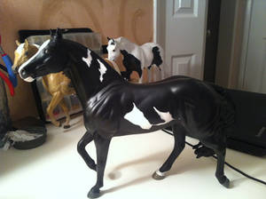 My custom breyer