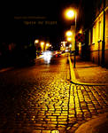 Opole by Night by bergol