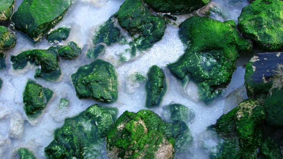 Green green rocks by idrawnaked on DeviantArt