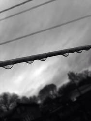 Raindrops