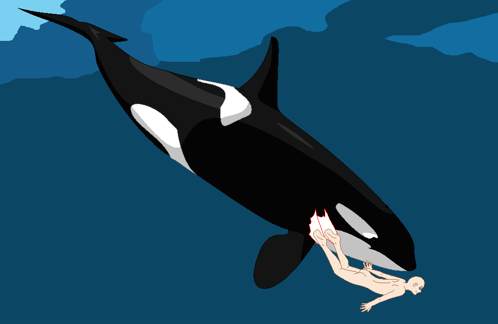 Orca and Girl Swimming Base