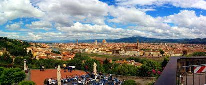 Florence in a panorama