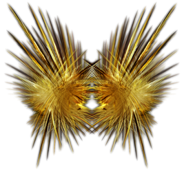 Feathery Fractal-Object Stock