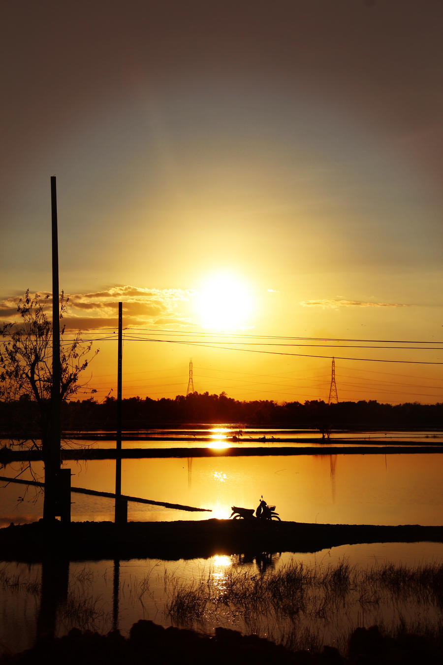 Sunset on paddly field