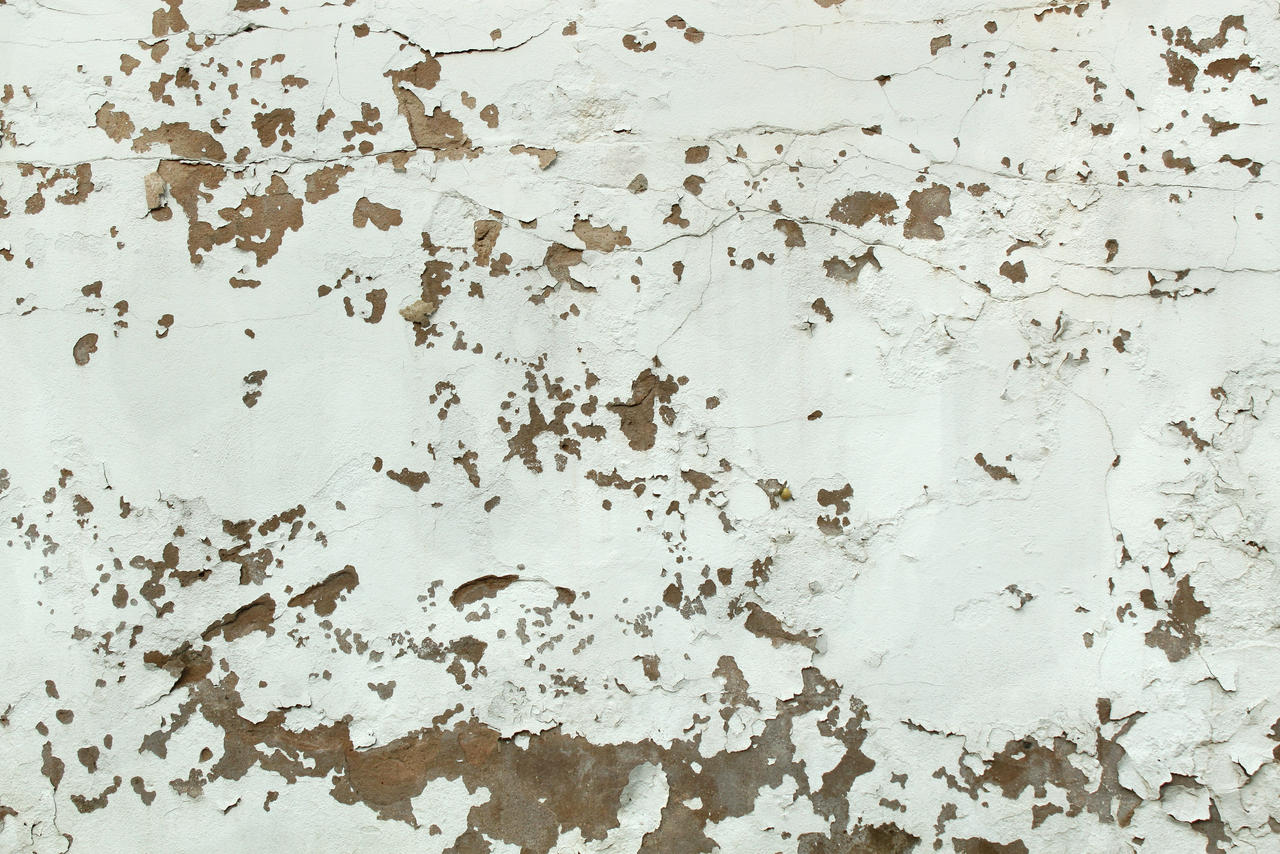 Wall Texture - 41
