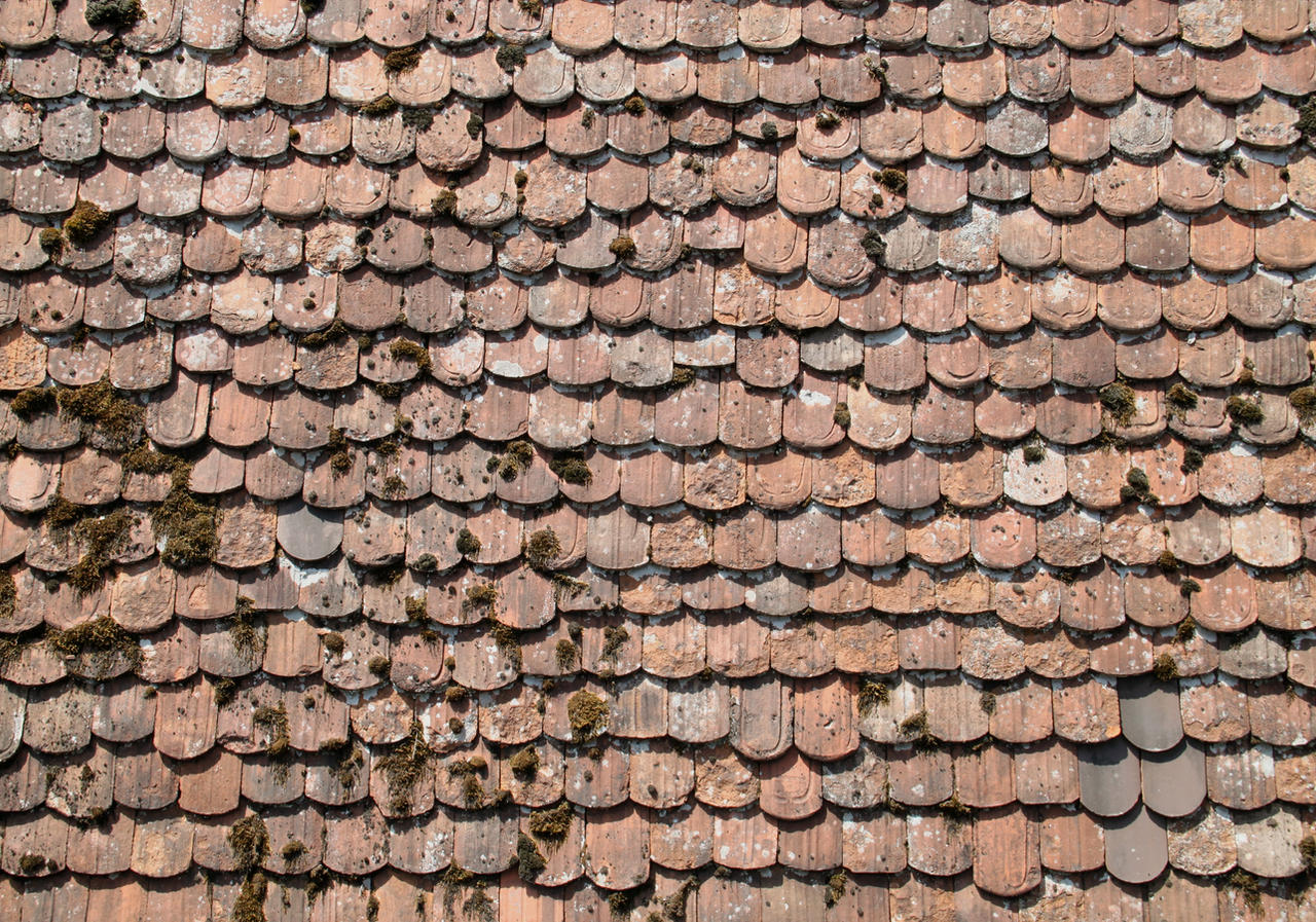Roof Texture - 1
