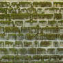 Stone Texture - 28