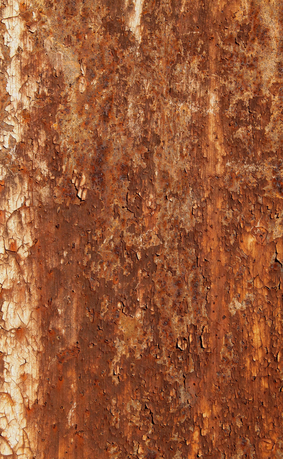 Rust Close-up Texture by AGF81 on DeviantArt