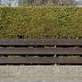 Hedge Texture - 1