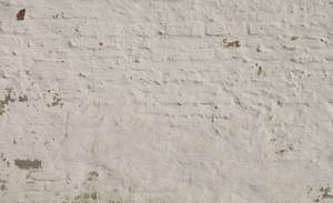 Wall - D655