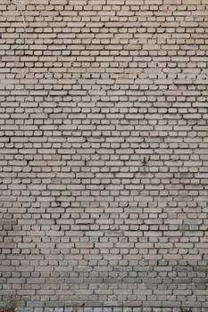 Brick - D656