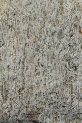 Stone Close-up - D670