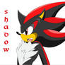 Shadow the hedgehog